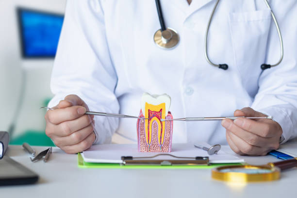 Best Urgent Dental Care for Toothache in Central Gardens, TX